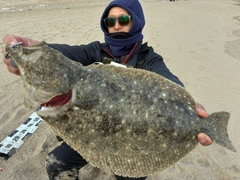 ヒラメの釣果