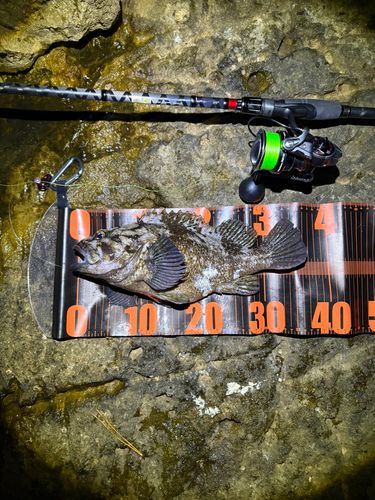 三陸海岸（宮城）