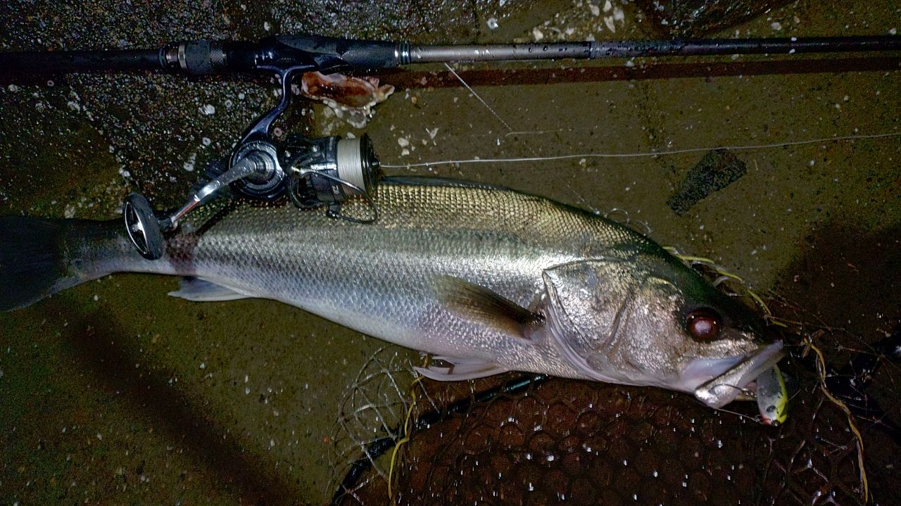 Megabass 空海 CK-83XXHSの最安値・インプレ・釣果 | 本音の口コミが