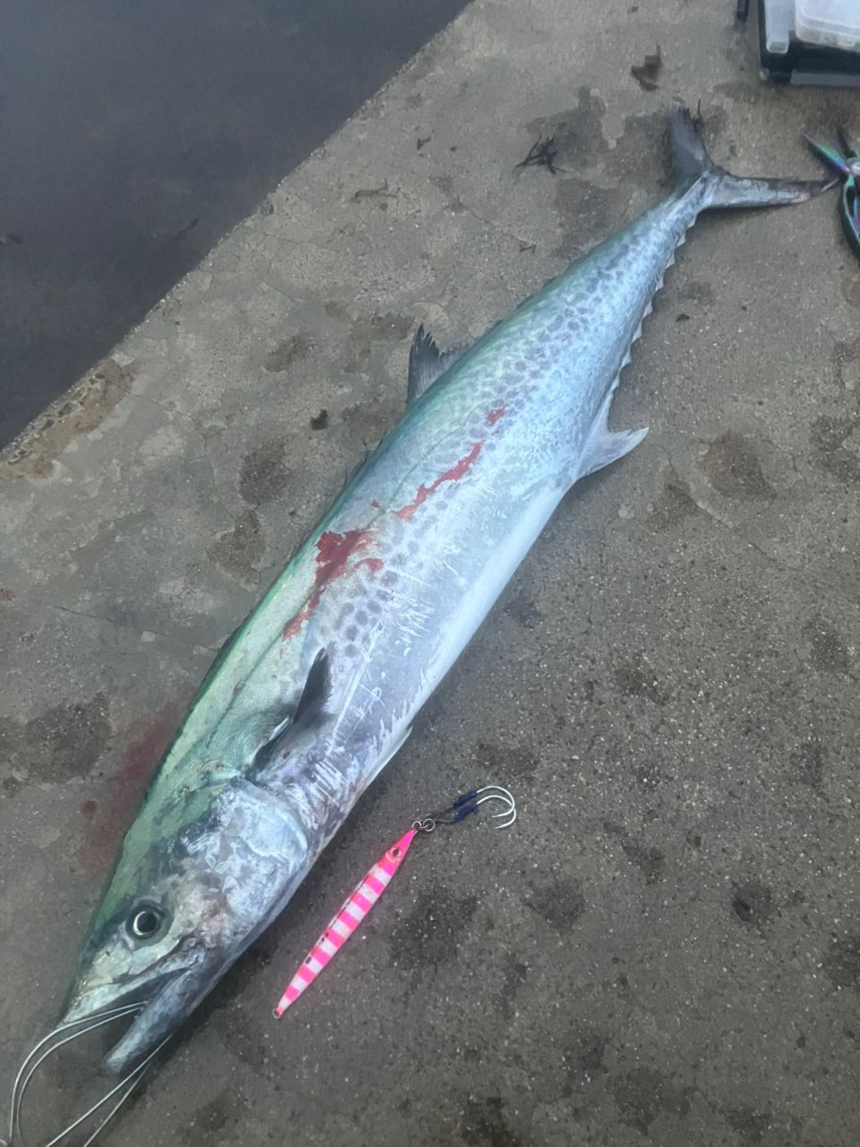 SHIMANO 20コルトスナイパー XR S100XH-3の最安値・インプレ・釣果