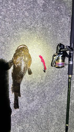 三陸海岸（青森）