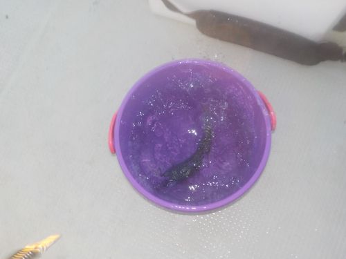 神戸沖堤防（7防）