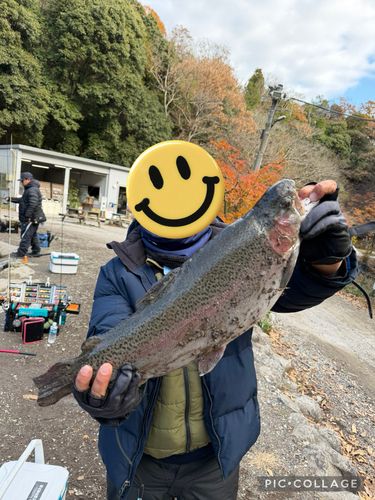 ニジマスの釣果