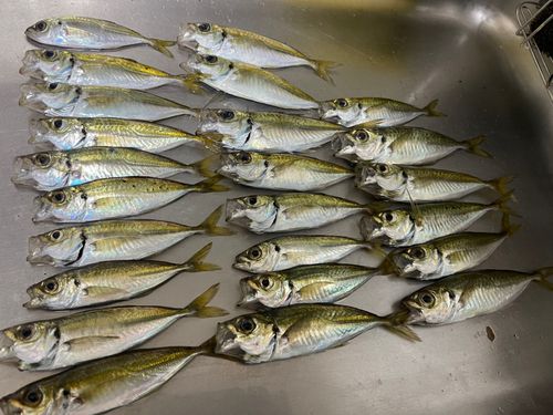 別府国際観光港