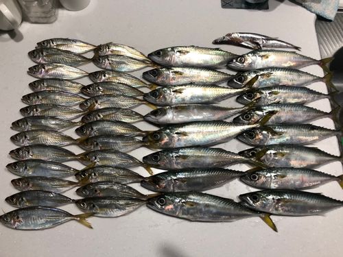 南芦屋浜ベランダ