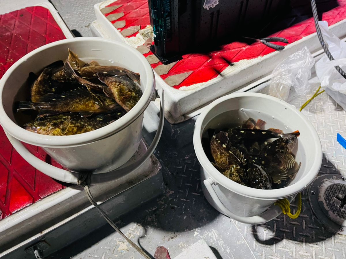 たかちゃん★•́ω•̀)?さんの釣果 2枚目の画像