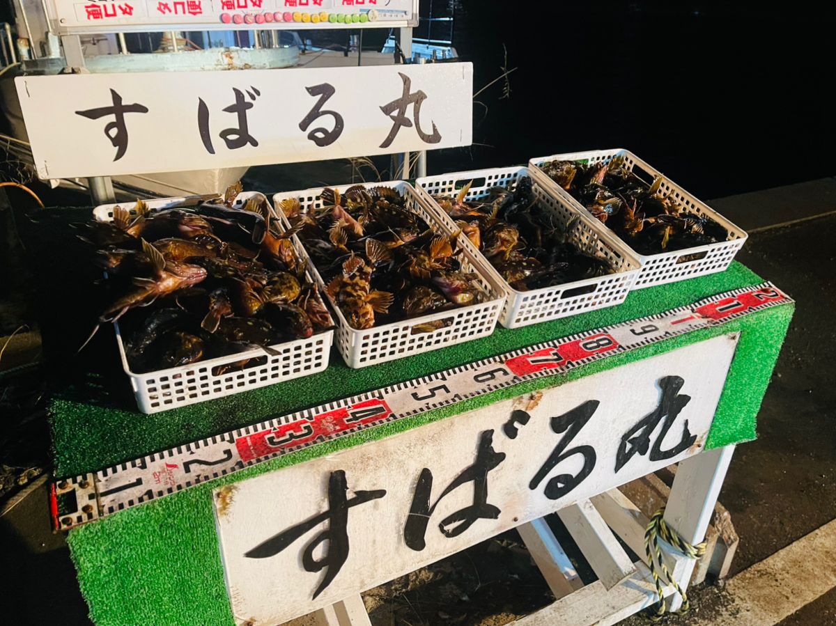 たかちゃん★•́ω•̀)?さんの釣果 3枚目の画像