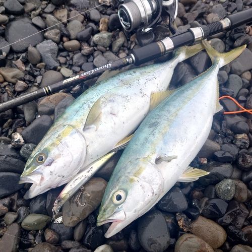 大浜海岸（静岡）