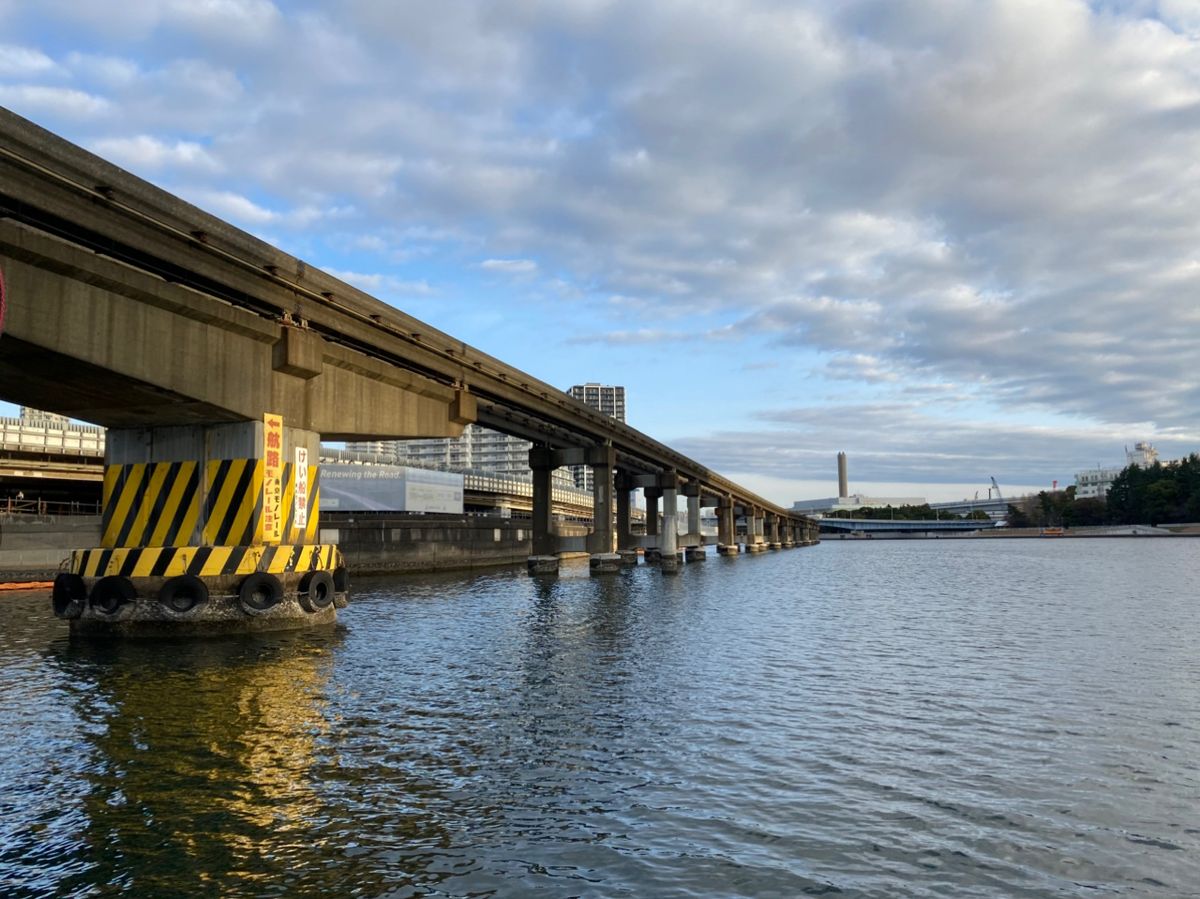 ざわさん@お散歩日記さんの釣果 1枚目の画像