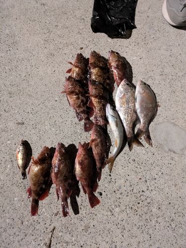 金沢水際線緑地（福浦岸壁）