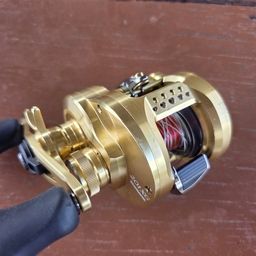 ジャイアントスネークヘッド