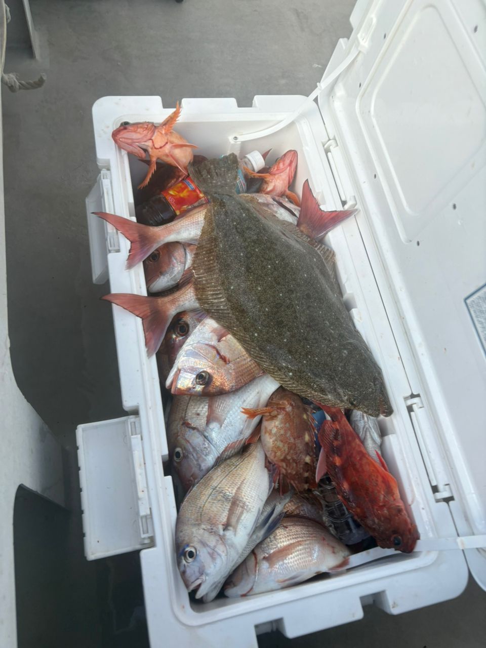 ❤︎釣り網カップル❤︎さんの釣果 2枚目の画像