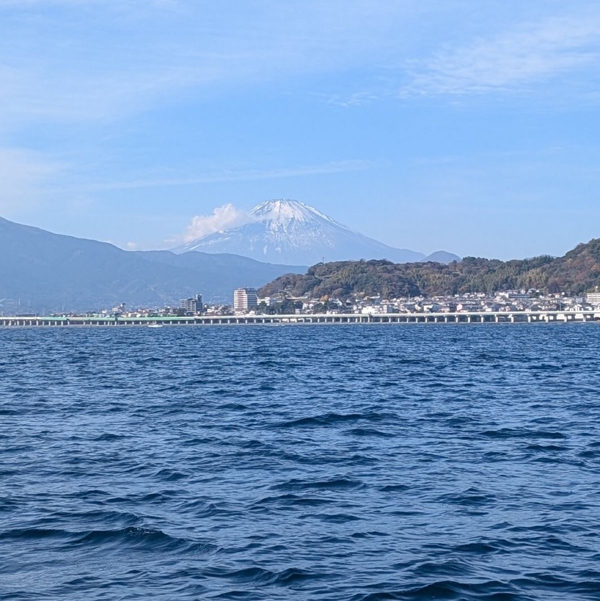 adonisさんの釣果 3枚目の画像