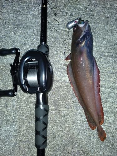 三陸海岸（岩手）