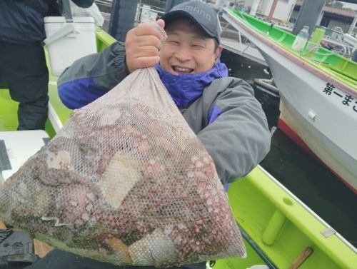 マダコの釣果