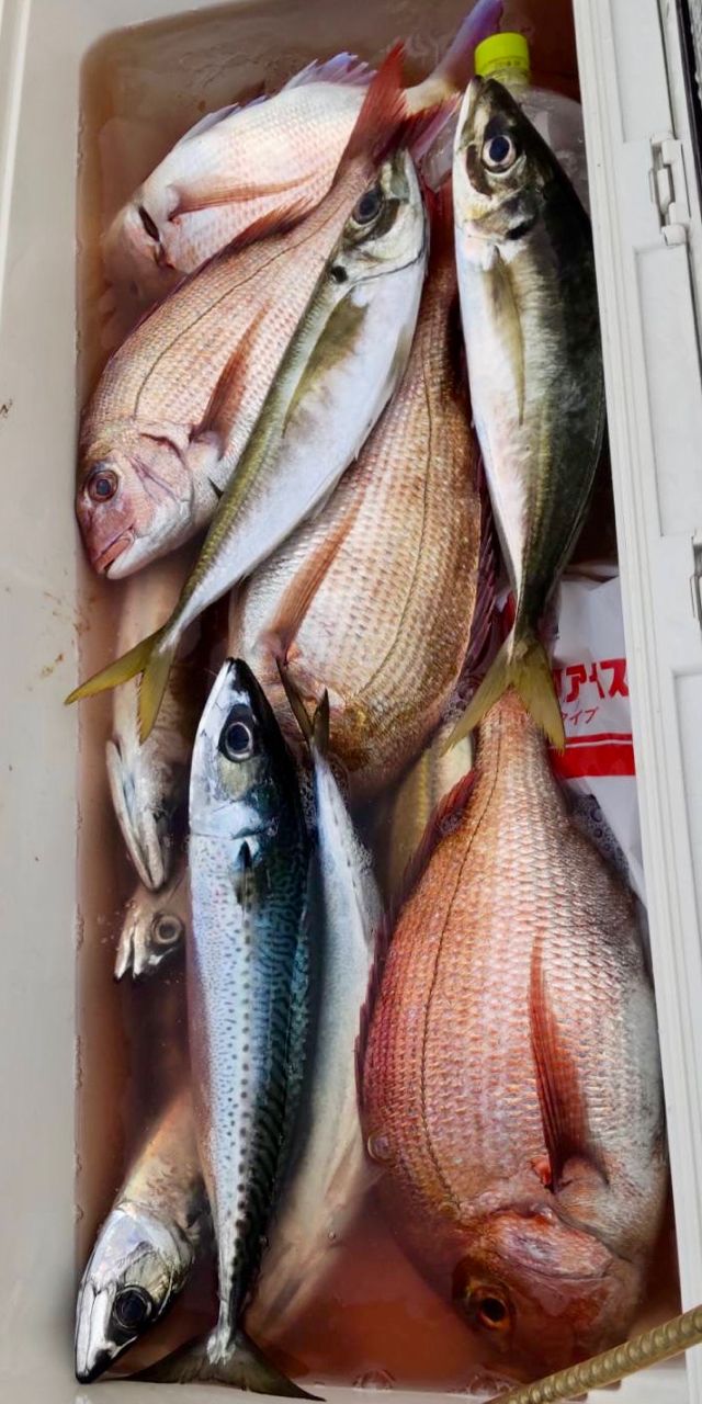 あまさけや丸/船長さんの釣果 3枚目の画像