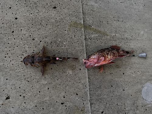 金沢水際線緑地（福浦岸壁）