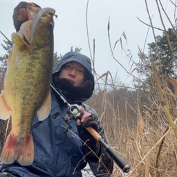 ラージマウスバス