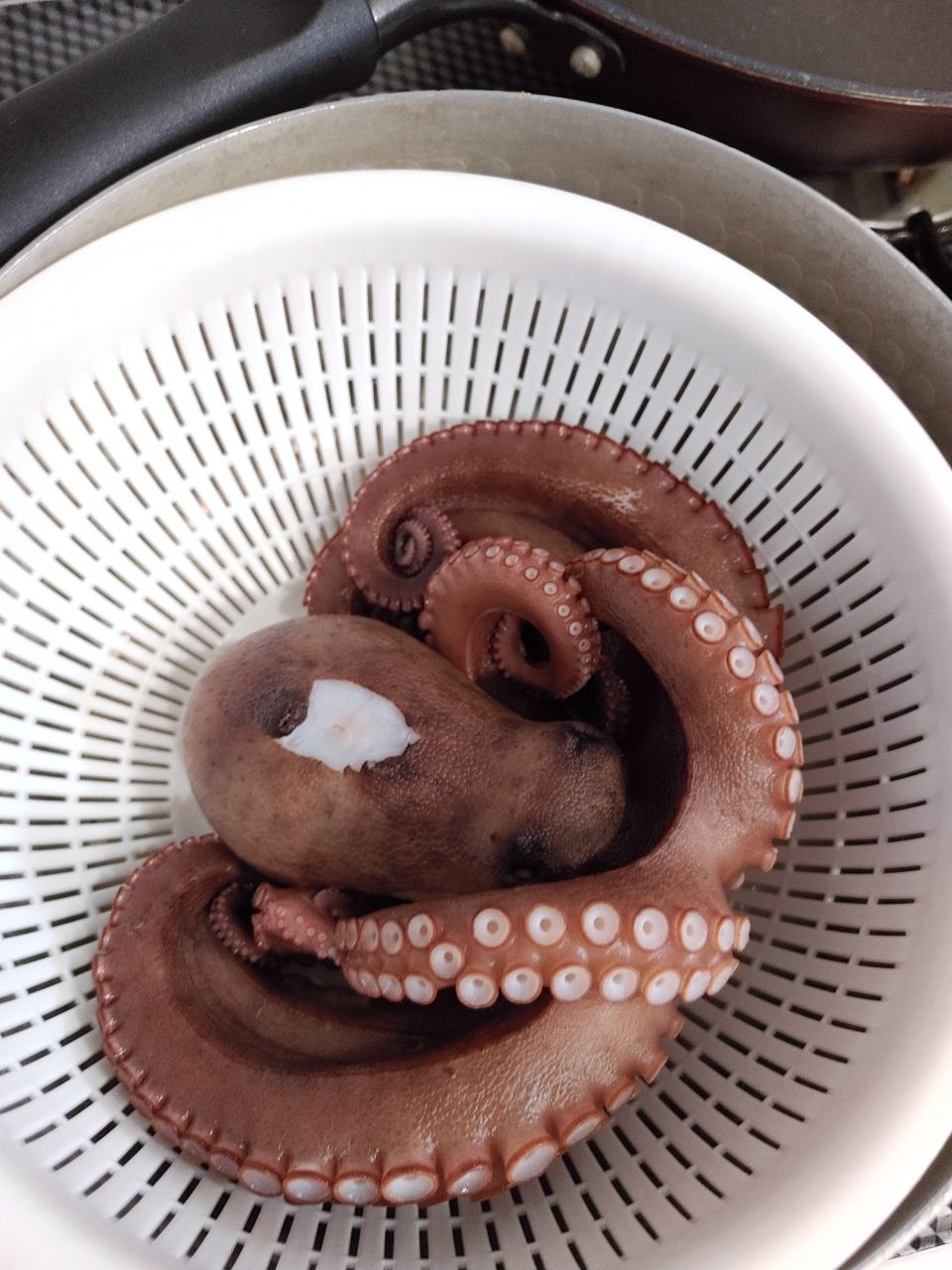 かずまっささんの釣果 1枚目の画像