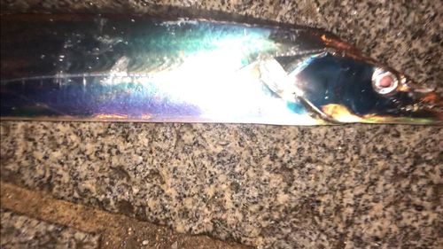 東京湾（アクアライン〜富津）