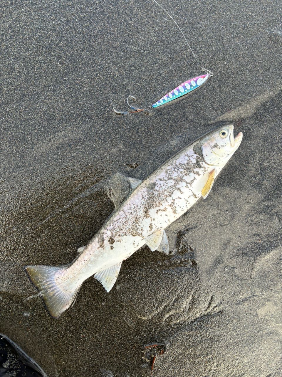 DAIWA 22カムイランケタム 106L+/M AGSの最安値・インプレ・釣果