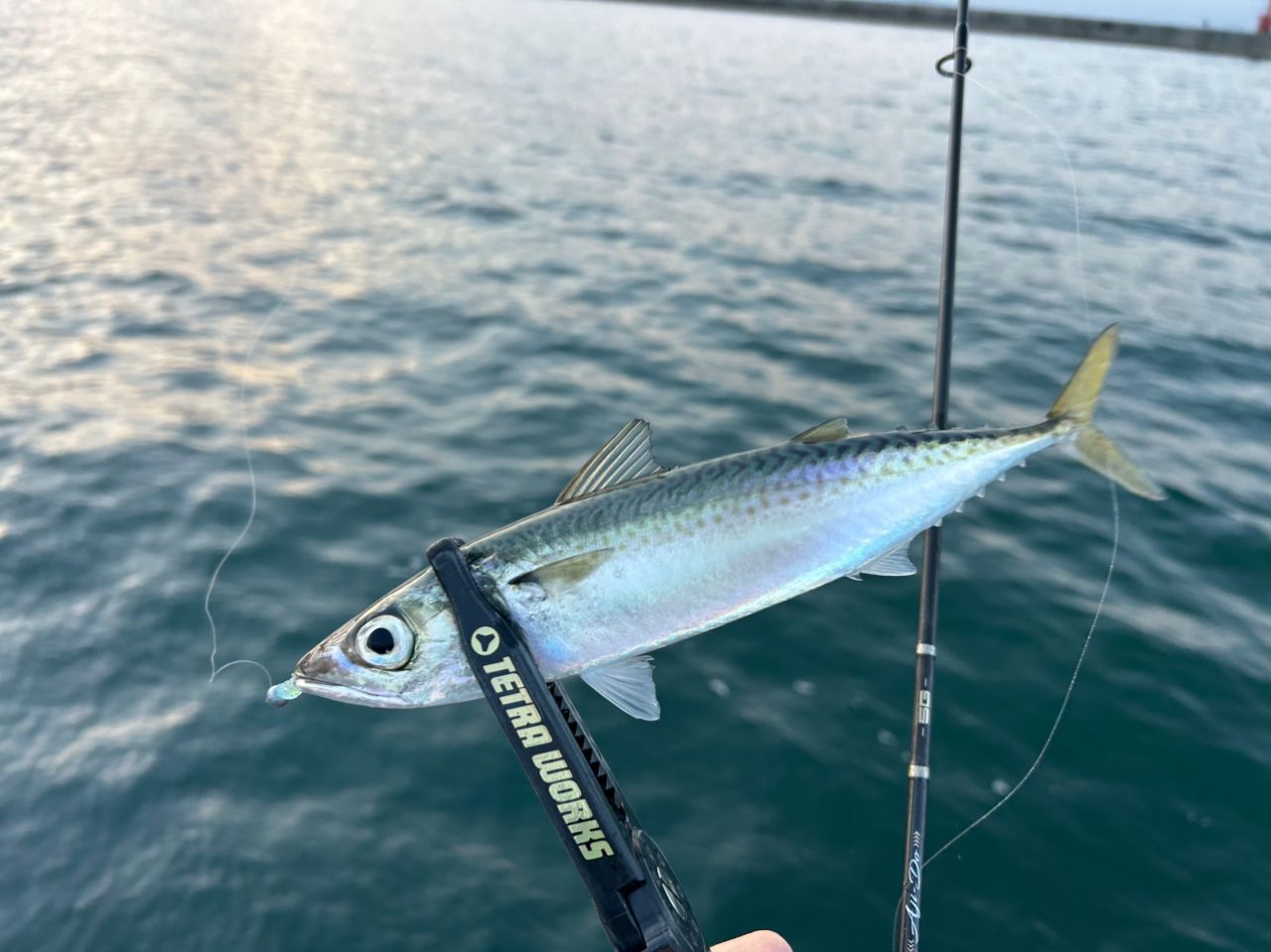 MajorCraft 鯵道 5G AD5-S582L/AJIの最安値・インプレ・釣果 | 本音の