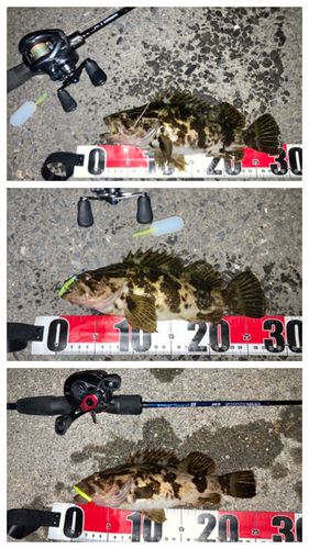 三陸海岸（岩手）