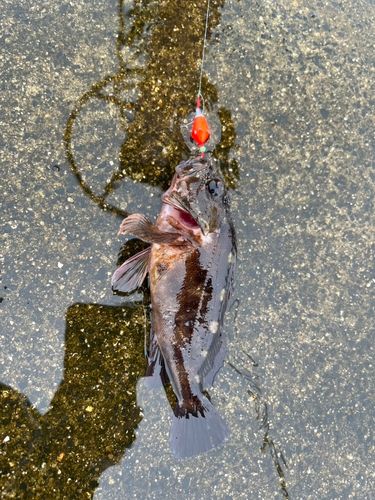 鈴鹿川派川河口