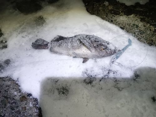 キラキラ公園（苫小牧西港）