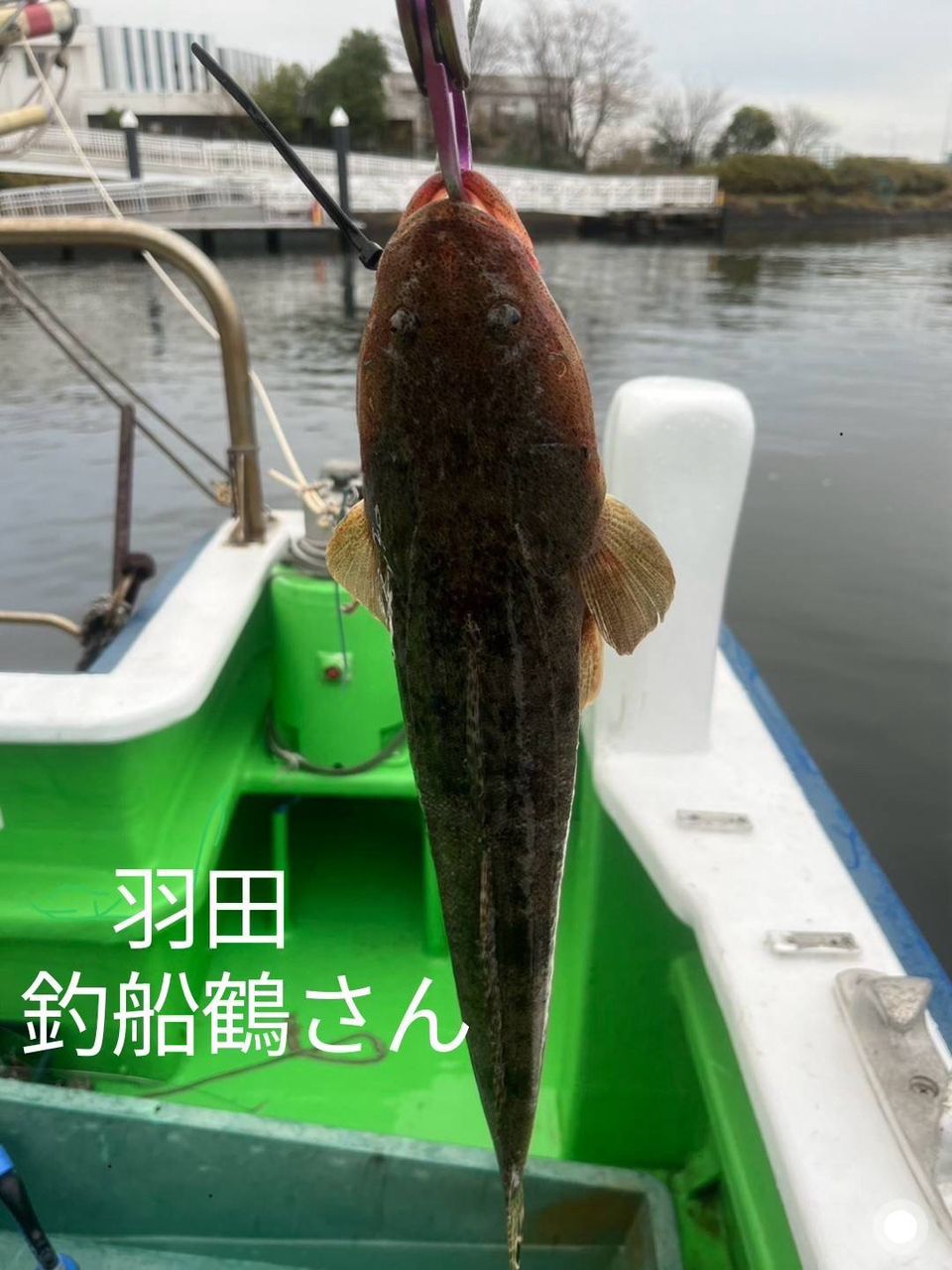 King of Fishermanさんの釣果 1枚目の画像