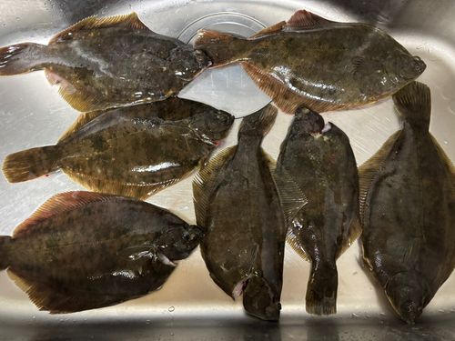 千葉港中央埠頭