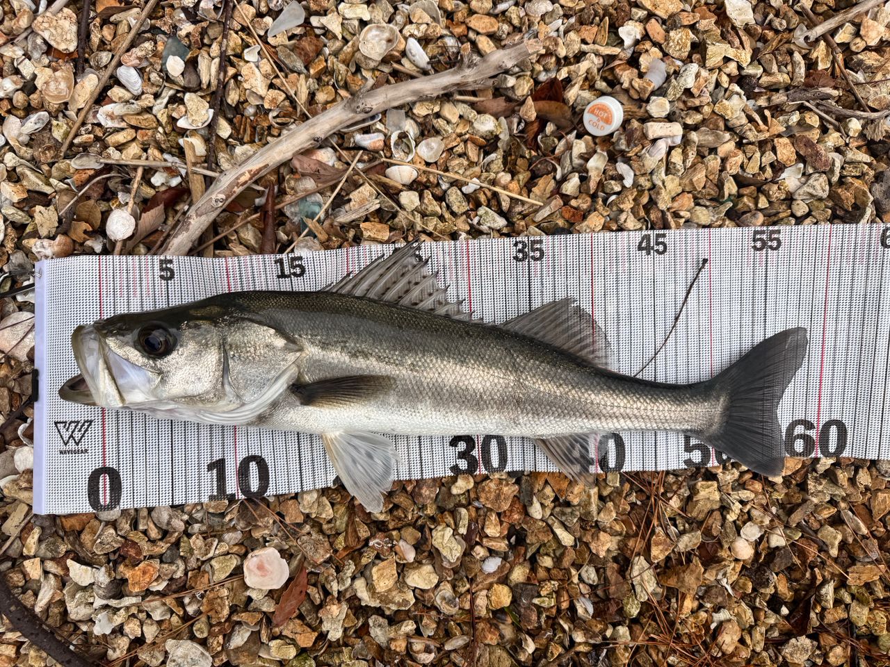 JUMPRIZE ツーリミット 93 ストリームバトルの最安値・インプレ・釣果