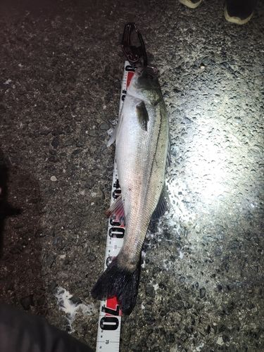 マリナタウン海浜公園