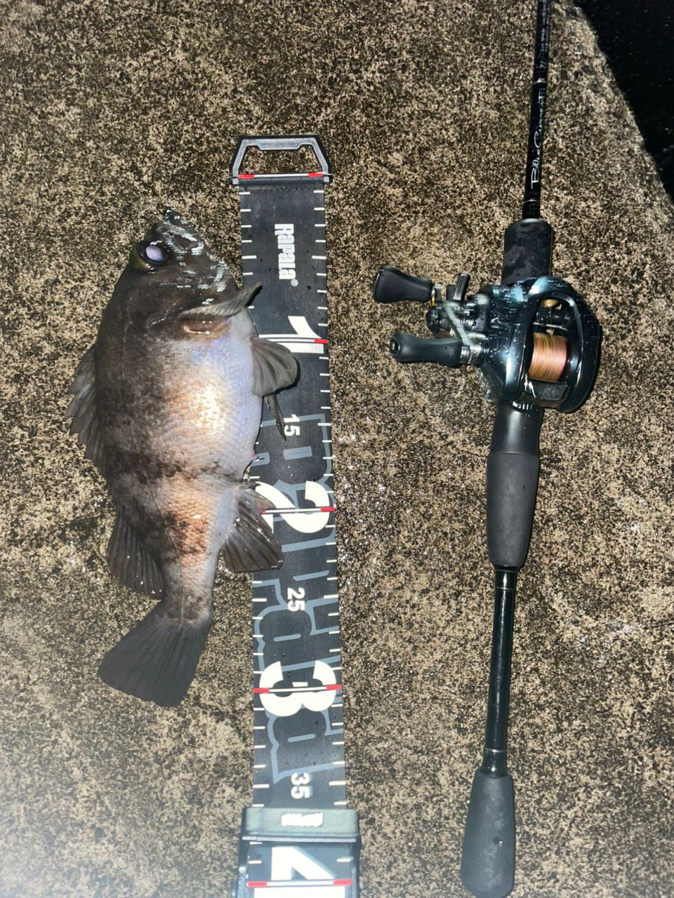 YAMAGA Blanks ブルーカレント Bait 71 (Overhead) modelの最安値