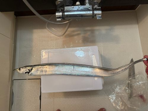 本牧海づり施設