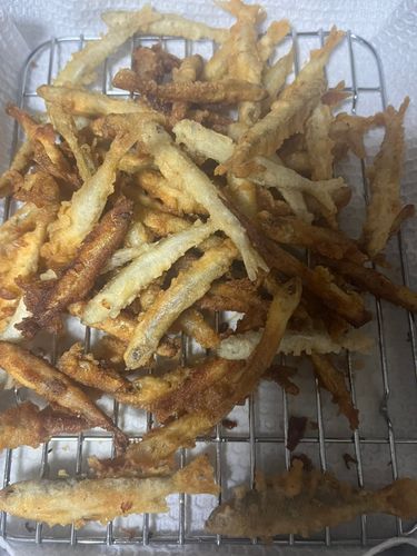 フィッシングセンターうおまん