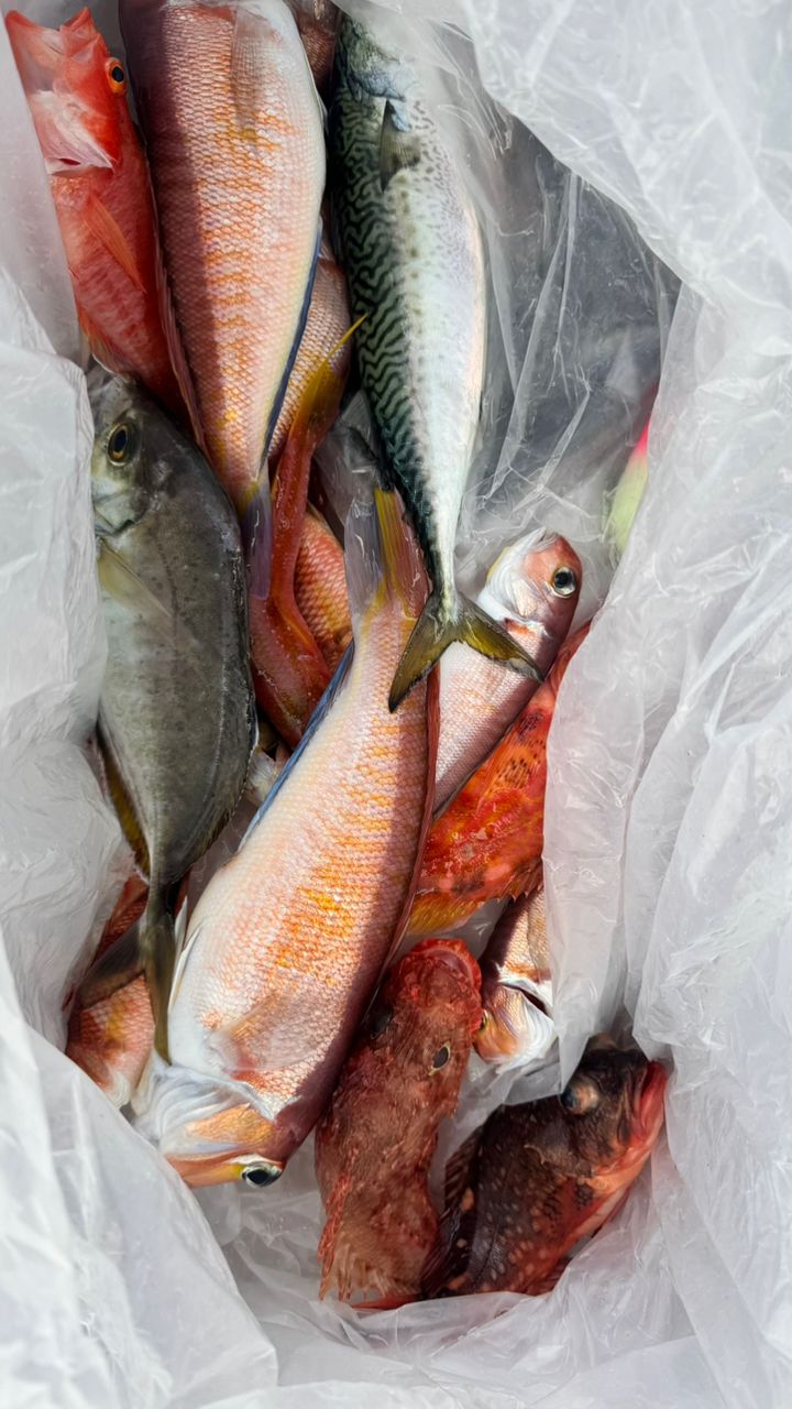 あじたまさんの釣果 1枚目の画像