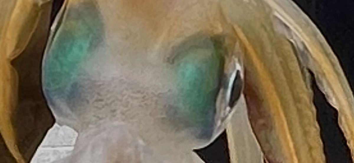 コッスーFさんの釣果 1枚目の画像