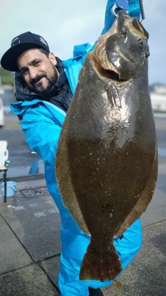 ヒラメの釣果