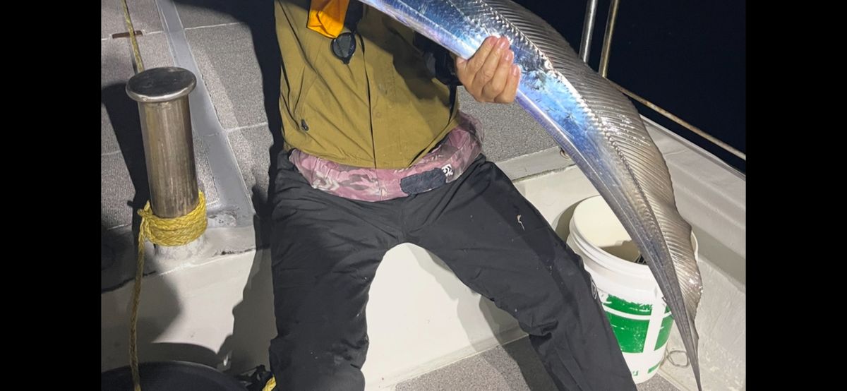 コッスーFさんの釣果 3枚目の画像