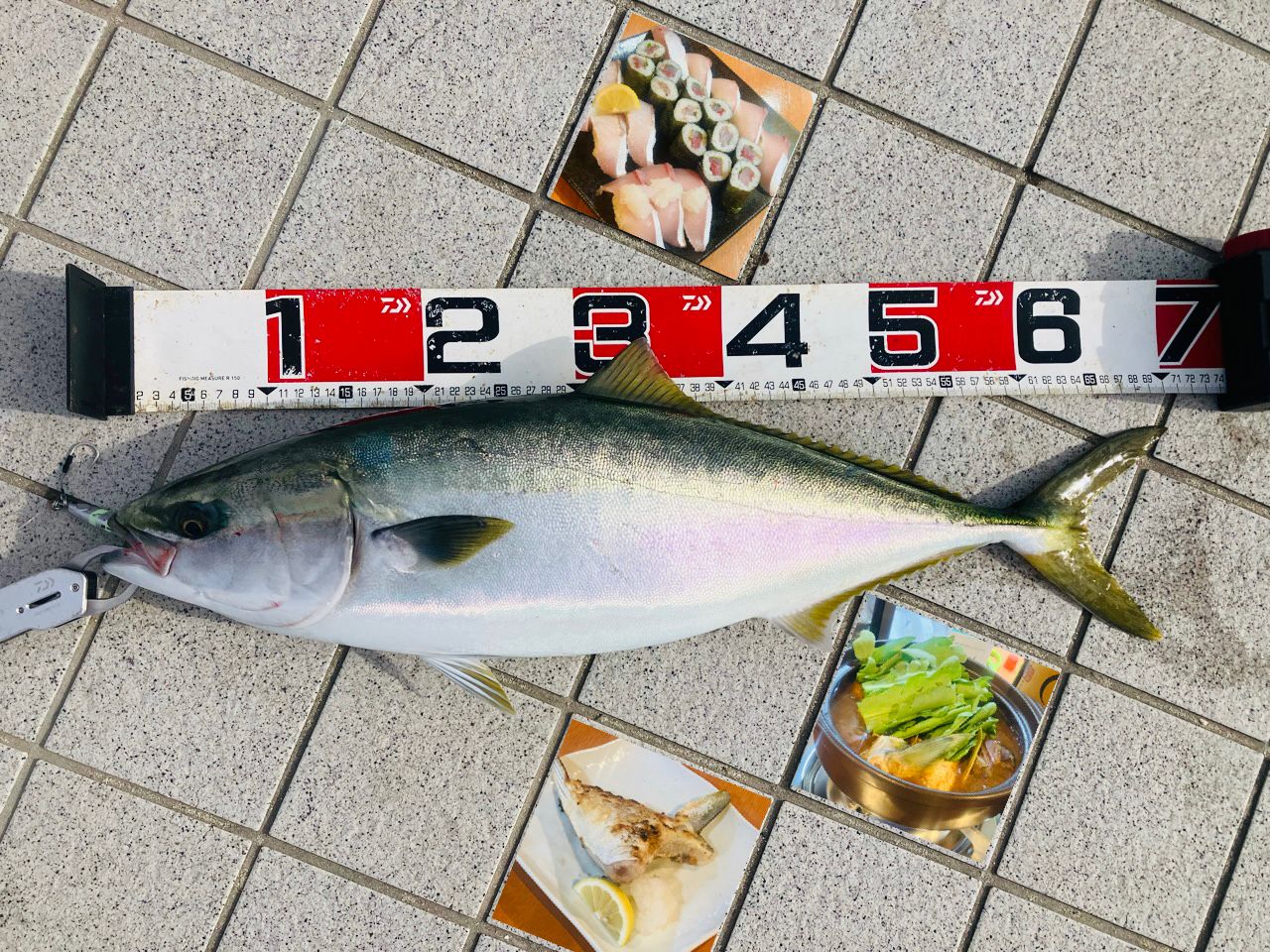 TENRYU パワーマスター PM1022S-MHの最安値・インプレ・釣果 | 本音の