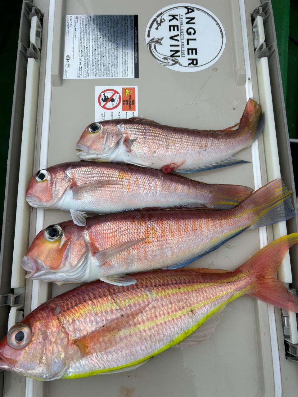 Kevin.Nさんの釣果 1枚目の画像