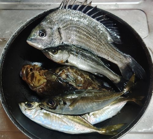 東京湾（アクアライン〜富津）