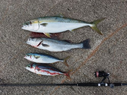 志賀島赤灯台東波止