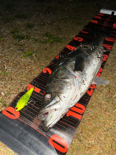 鳥居崎海浜公園