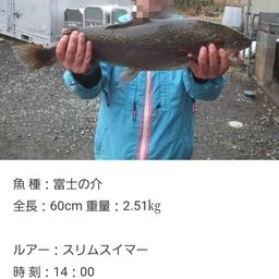 レインボートラウト