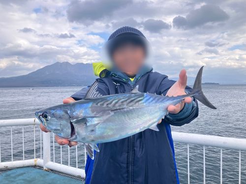 鴨池海づり公園