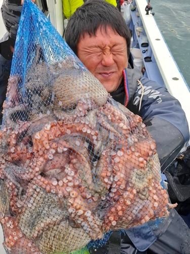 マダコの釣果