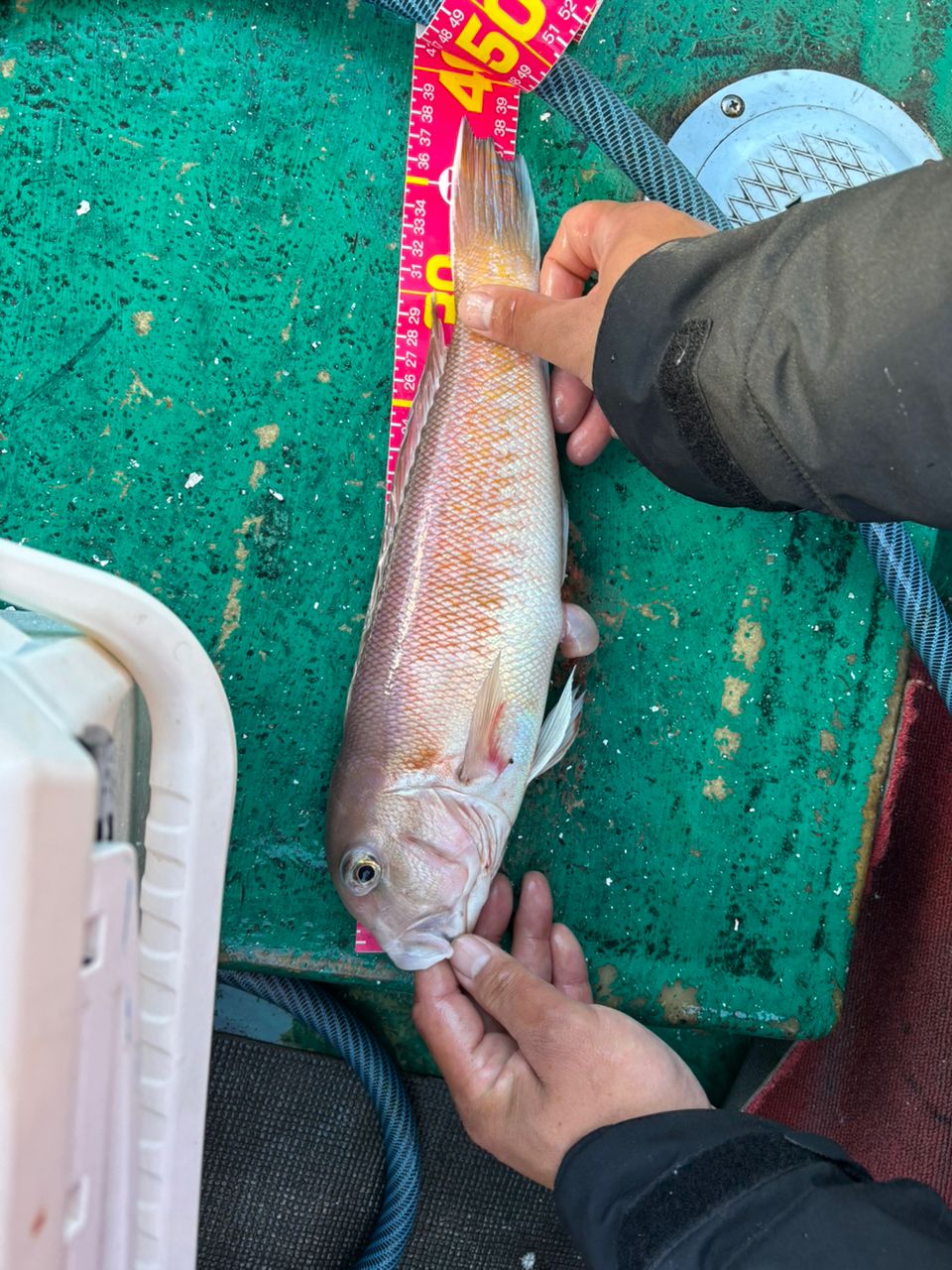 detakaさんの釣果 2枚目の画像