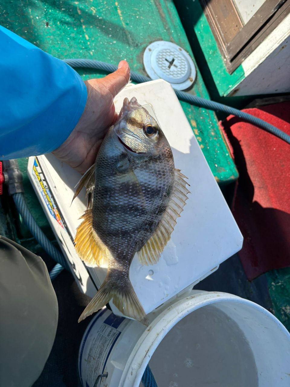 detakaさんの釣果 2枚目の画像